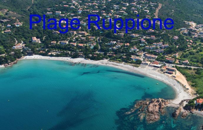 Vue Mer Panoramique Plage 50M Porticcio Corse Экстерьер фото